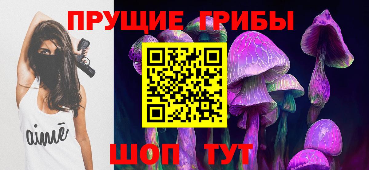Псилоцибиновые грибы MAGIC MUSHROOMS  Псилоцибиновые грибы Cubensis  Губаха  Вход с VPN 