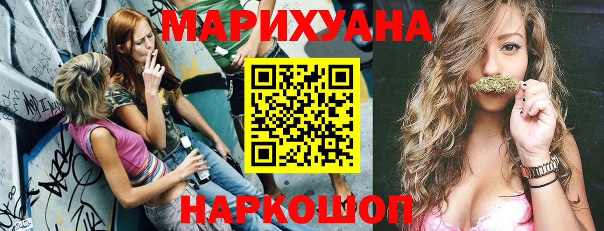 Канабис планчик Губаха